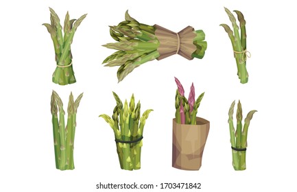 Fresh Green Asparagus Spears Tied with Rope and Wrapped in Craft Paper Vector Set