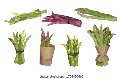 Fresh Green Asparagus Spears Tied with Rope and Wrapped in Craft Paper Vector Set