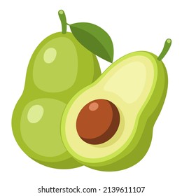 Fresh green Avocado fruit and Avocado slice on isolated white background. Vector illustration flat cartoon design.
