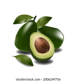  fresh green avocado vector image whit white background