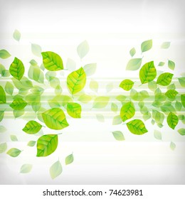 Fresh Green Background