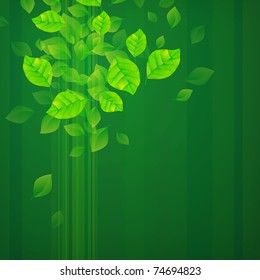 Fondo verde fresco