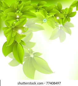 Fresh green background