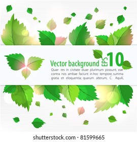 fresh green background