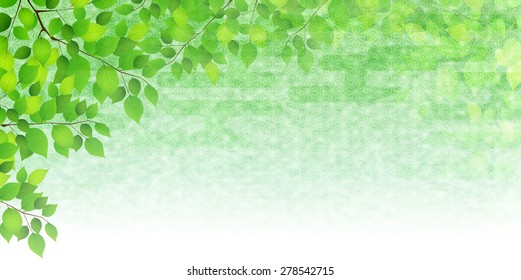 Fresh green background leaf