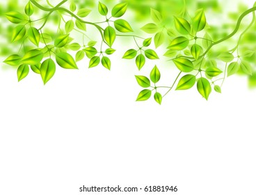 Fresh Green Background - vector leaves in the summer.