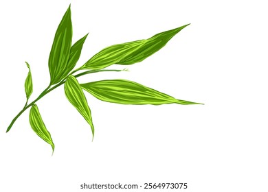 fresh green bamboo leaf icon illustration without background