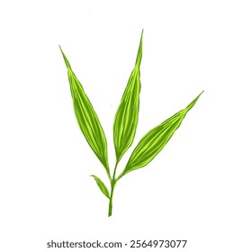 fresh green bamboo leaf icon illustration without background