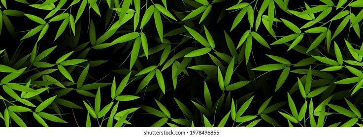 fresh green bamboo stems and leaves background. Exotic botanical design for banner cosmetics spa perfume health care products aroma.