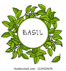Fresh Green Basil Background and Frame. Aromatic Cooking Herb. Steak Meat Spice. Hand Drawn Illustration. Cute Doodle Style.