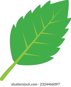 Fresh green basil leaves icon. Basil leaves sign. flat style.
