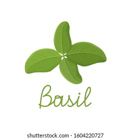 Fresh green basil leaves on white background. Cartoon hand drawn flat illustration for food and cooking. Isolated branch with lettering title. Symbol of Italian cuisine and spices