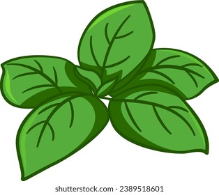 Fresh Green Basil Leaves. Vector Illustration of Basil for Salads. Menu Design