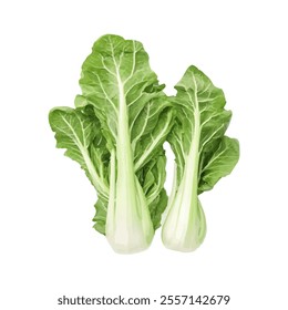 Fresh green bok choy with crisp leaves, ideal for healthy cooking and salads.