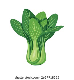 Fresh green bok choy, a healthy and versatile leafy vegetable for cooking.