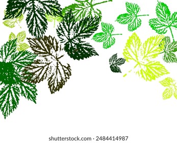Fresh green boxwood leaves isolated on white, texture Refreshing green leaves scattered in the wind