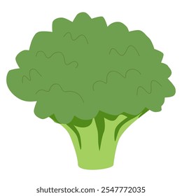 Brócolis verde fresco. Vegetal de brócolis em estilo doodle. Comida saudável de brocolo. Vegetariano cru. Ilustração de vetor plano colorido de brokoli isolado no fundo branco