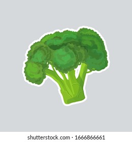 fresh green broccoli cabbage sticker tasty vegetable icon healthy food concept vector illustration