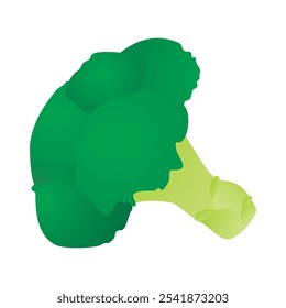 fresh green broccoli cartoon image