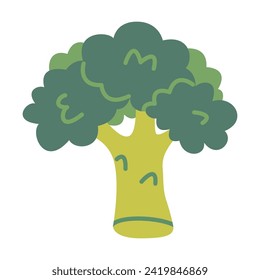 Fresh green broccoli, cartoon style. Trendy modern vector illustration isolated on white background, hand drawn, flat design