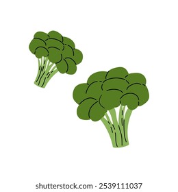 Fresh green broccoli clusters displayed on a white background, ideal for healthy cooking and meals