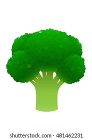 Fresh green broccoli isolated on white background vegetarian