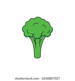 Fresh green broccoli stalk with multiple florets and leaves Vector illustration