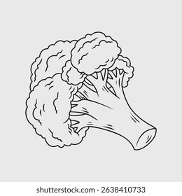 Fresh Green Broccoli. Thin Line Illustration