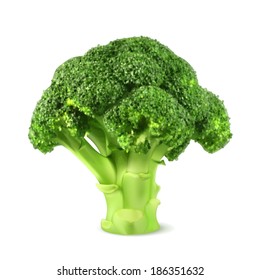 Fresh Green Broccoli, Vector Illustration