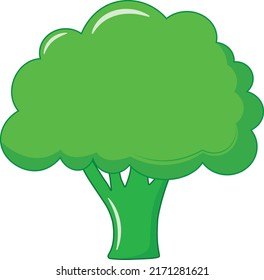 Fresh and Green Broccoli Vector Illustration