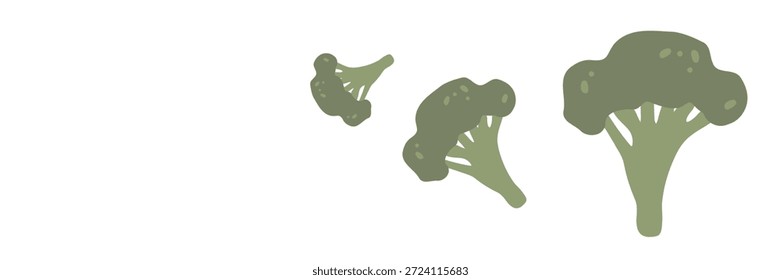 Brócoli verde fresco, Ilustración vectorial, comida saludable, verduras orgánicas, para Anuncios y Diseño web