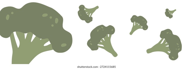 Fresh green broccoli, vector illustration, healthy food, organic vegetables, for banners and web design