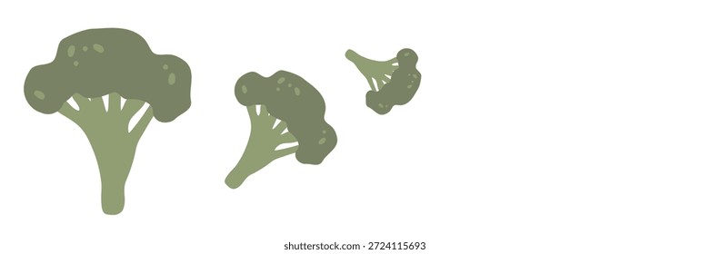 Brócoli verde fresco, Ilustración vectorial, comida saludable, verduras orgánicas, para Anuncios y Diseño web