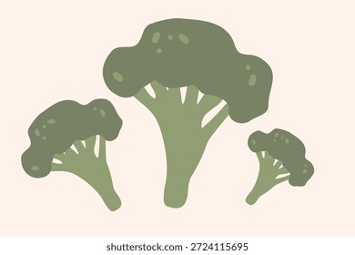Brócoli verde fresco, Ilustración vectorial, comida saludable, verduras orgánicas, para Anuncios y Diseño web