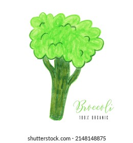 Brocolli de col verde fresco. Ilustración vectorial dibujada a mano en estilo caricatura, fondo aislado. Productos ecológicos vegetarianos, nutrición orgánica, vegetariana. Para un libro de recetas, afiche, diseño de la cubierta del menú.