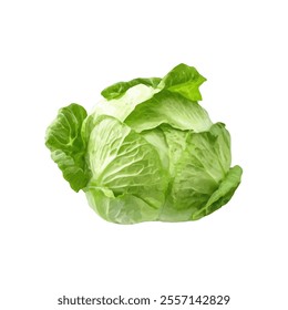 A fresh green cabbage with crisp leaves, ideal for salads and cooking.