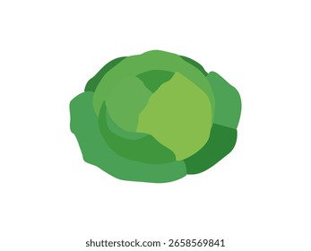 Diseño plano de la col verde fresca, icono vegetal minimalista: Col