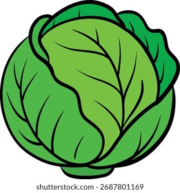 Ilustración de vegetales de col verde fresca con hojas detalladas, icono de alimentos orgánicos saludables para el mercado agrícola, menú vegano y diseño de productos naturales