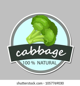 Fresh green cabbage vegetable isolated. cabbage for farm market, vegetarian salad recipe design. Best for textile, wrapping paper.
