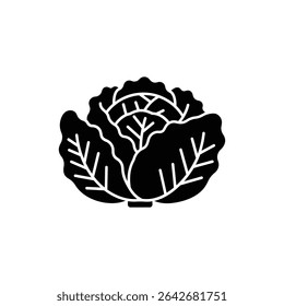 Fresh Green Cabbage with Visible Veins Close-up on White Background