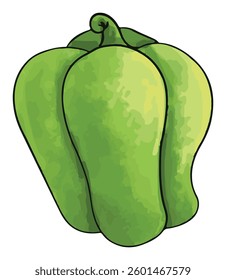 Fresh green capsicum vector illustration
