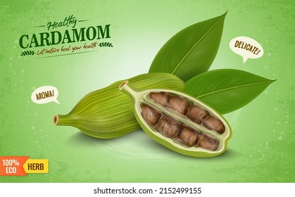 Fresh Green Cardamom spices pods
with half cardamom half piece and green leaves isolated on green background