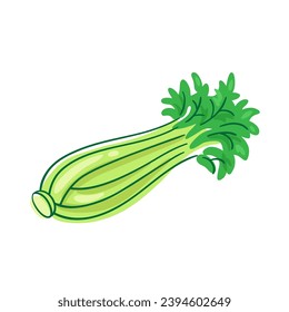 Fresh green celery. Picture in line style. Dark outline with colored spots. Isolated on white background. Vector flat illustration.