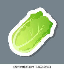 fresh green chinese cabbage sticker tasty vegetable icon healthy food concept vector illustration