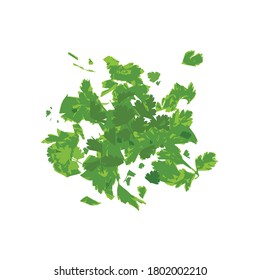 Fresh Green Chopped Parsley Leaves Isolated on White Background