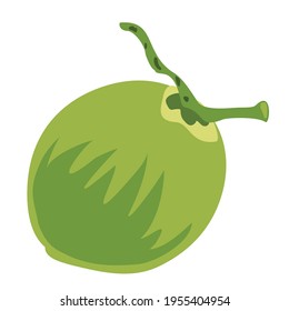 Fresh Green Coconut Fruit Vector Design
