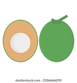 Fresh Green Coconut with Leaves Vector. Delicious Sweet Coconut. Coconut Slice Illustration.