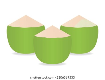 Fresh Green Coconut. Vector Illustration Isolated on White Background. 