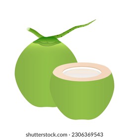 Fresh Green Coconut. Vector Illustration Isolated on White Background. 