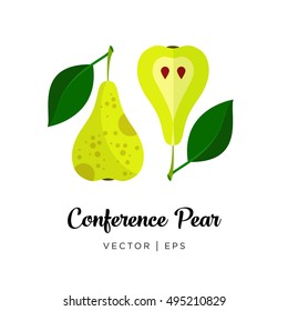 Fresh green conference pear, cut sliced, seeds, leaf and steam, vector editable illustration. Flat simple style.